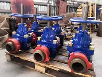 Задвижки буровые ЗБС.100.52.10.000 купить в Ташкенте